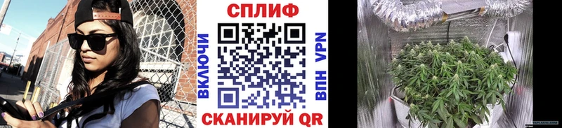 Марихуана план Вязники
