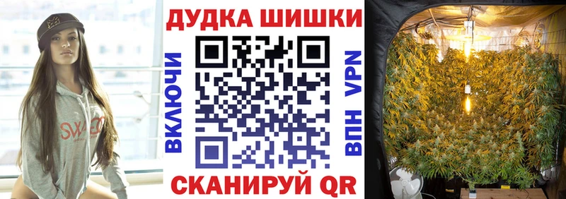 как найти закладки  Вязники  Каннабис LSD WEED 